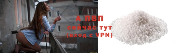 ПСИЛОЦИБИНОВЫЕ ГРИБЫ Гусь-Хрустальный