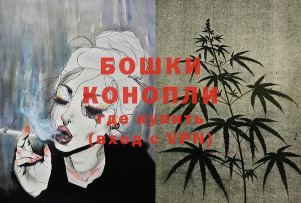 ПСИЛОЦИБИНОВЫЕ ГРИБЫ Гусь-Хрустальный