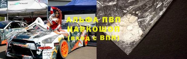 ПСИЛОЦИБИНОВЫЕ ГРИБЫ Гусь-Хрустальный