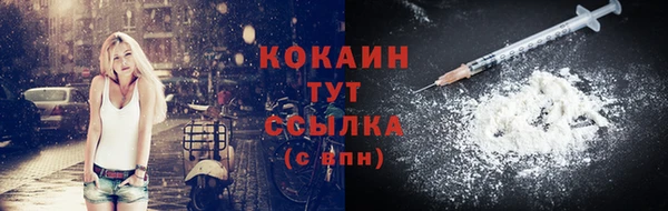 ПСИЛОЦИБИНОВЫЕ ГРИБЫ Гусь-Хрустальный