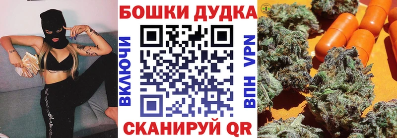 Купить закладки  Канаш  Бошки марихуана гибрид 